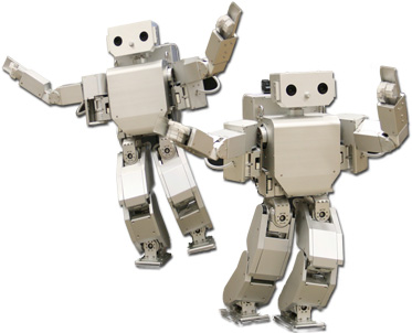 The two HOAP-2 humanoid robots of the TAMS institute.